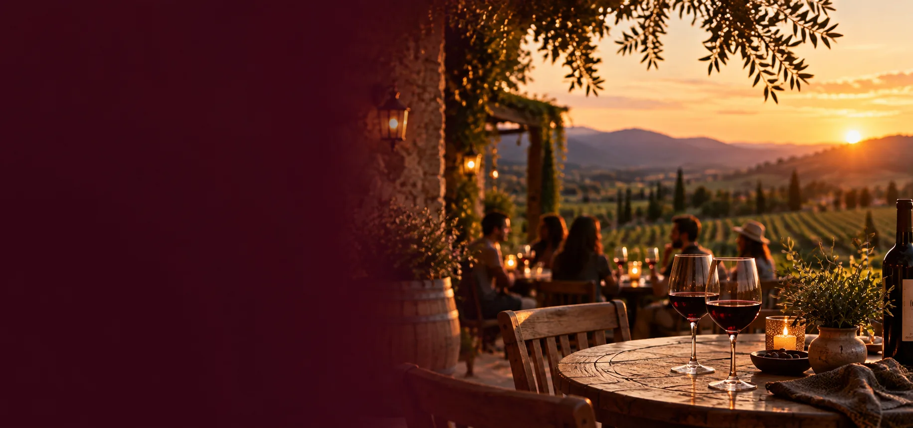 Winery landscape at sunset